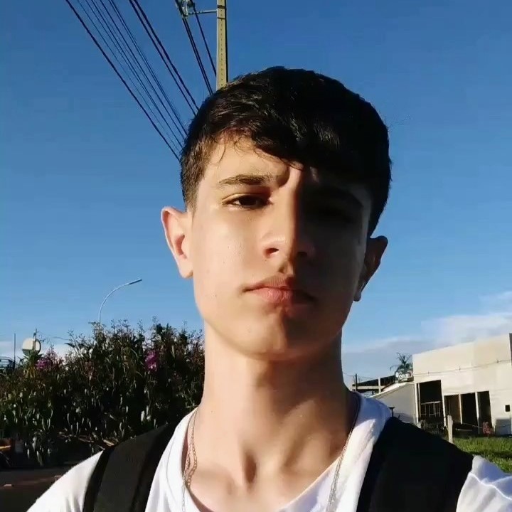 Foto Luiz Henrique
                    Zavatini Feltrin